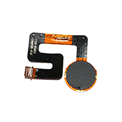 ����ָ��ģ��