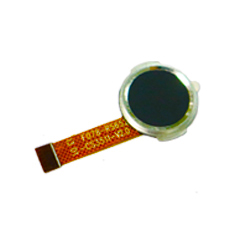 ����ָ��ģ��