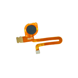 ����ָ��ģ��